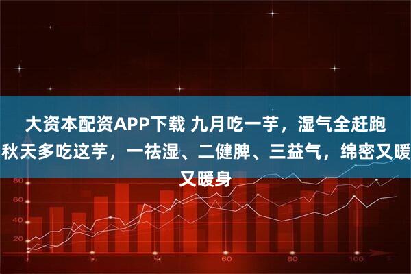 大资本配资APP下载 九月吃一芋，湿气全赶跑！秋天多吃这芋，一祛湿、二健脾、三益气，绵密又暖身