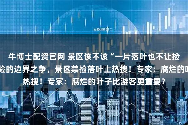 牛博士配资官网 景区该不该“一片落叶也不让捡”：环保与浪漫体验的边界之争，景区禁捡落叶上热搜！专家：腐烂的叶子比游客更重要？