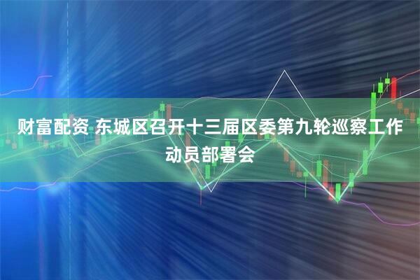 财富配资 东城区召开十三届区委第九轮巡察工作动员部署会