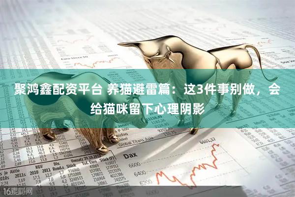 聚鸿鑫配资平台 养猫避雷篇：这3件事别做，会给猫咪留下心理阴影