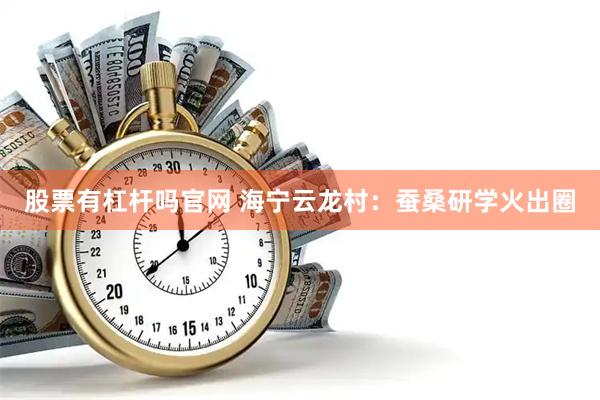 股票有杠杆吗官网 海宁云龙村：蚕桑研学火出圈