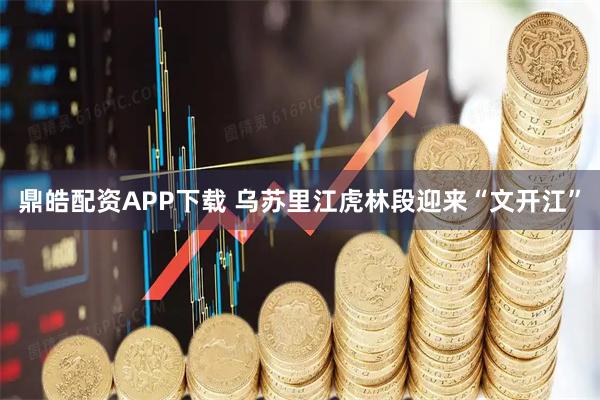 鼎皓配资APP下载 乌苏里江虎林段迎来“文开江”