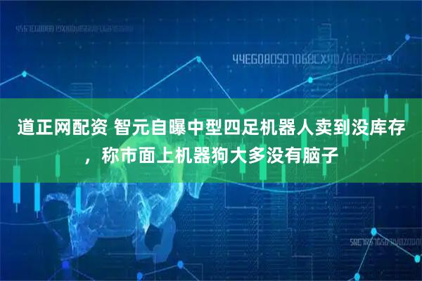 道正网配资 智元自曝中型四足机器人卖到没库存，称市面上机器狗大多没有脑子