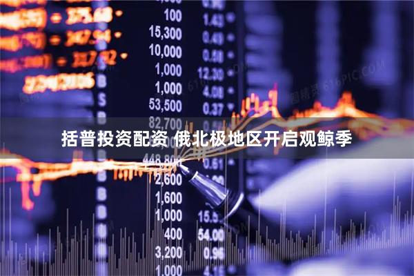 括普投资配资 俄北极地区开启观鲸季