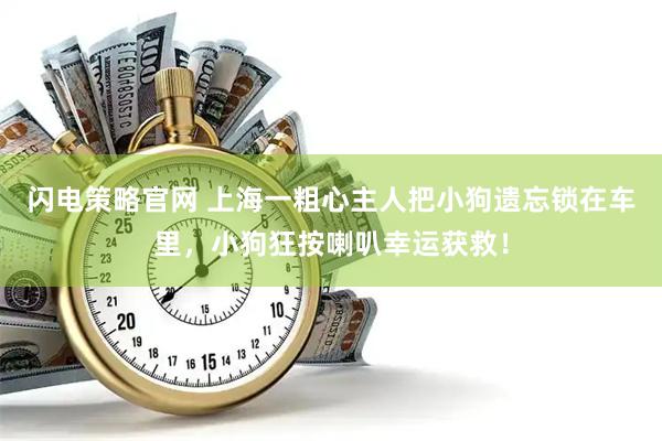闪电策略官网 上海一粗心主人把小狗遗忘锁在车里，小狗狂按喇叭幸运获救！